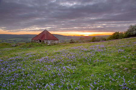 Beautiful sunset behind an old shed